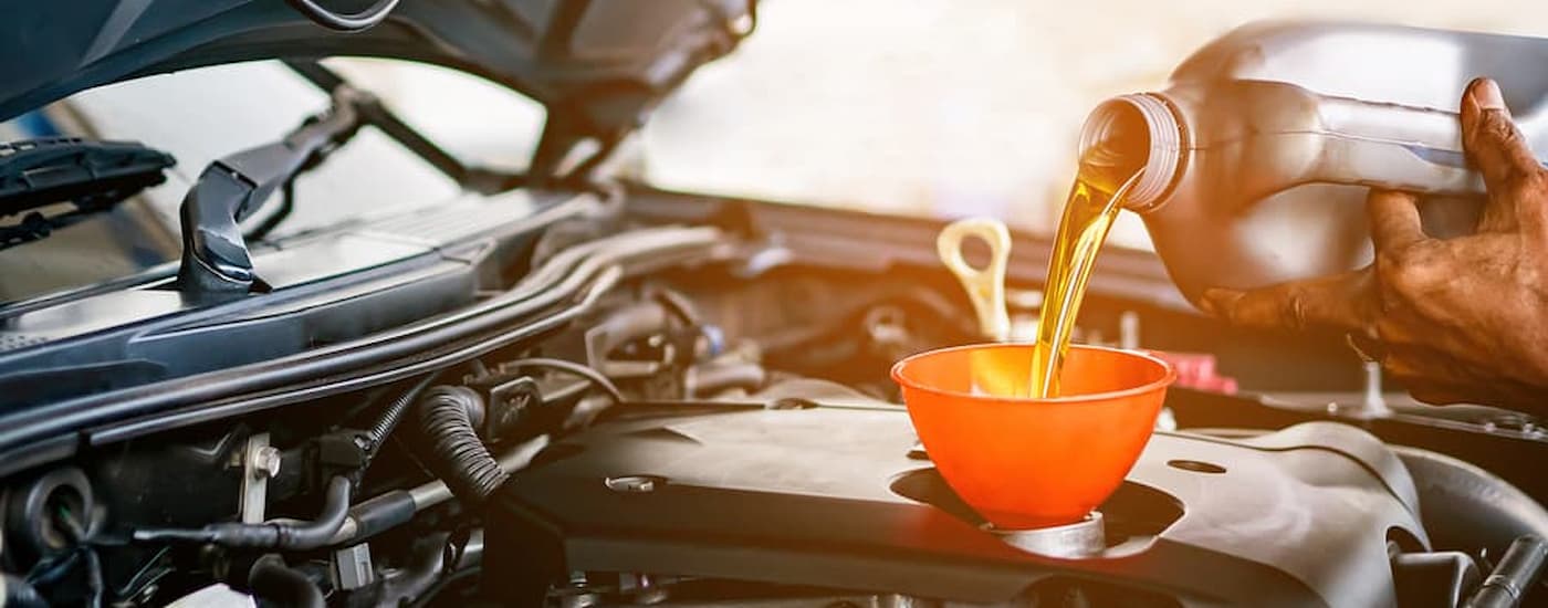 Oil being put into a car engine